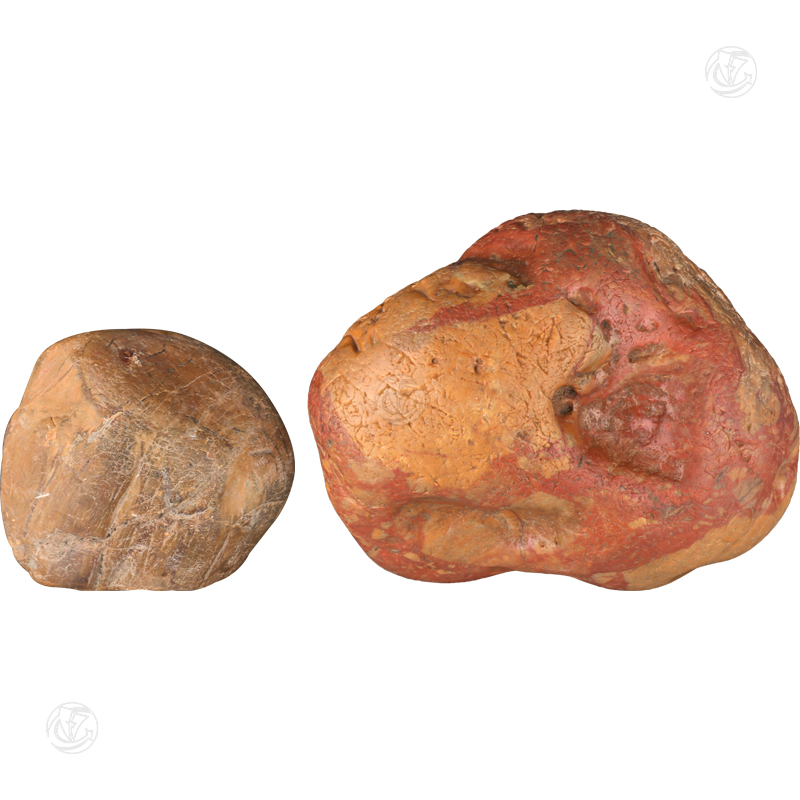 戈壁玉奇石一组