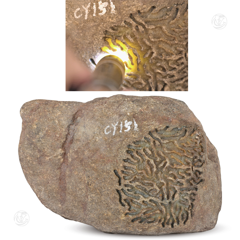 A货翡翠黄翡原石