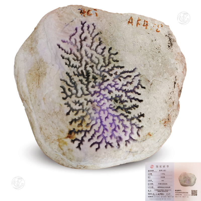 春带彩翡翠原石