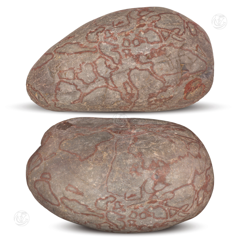 “智慧大脑”石铁陨石