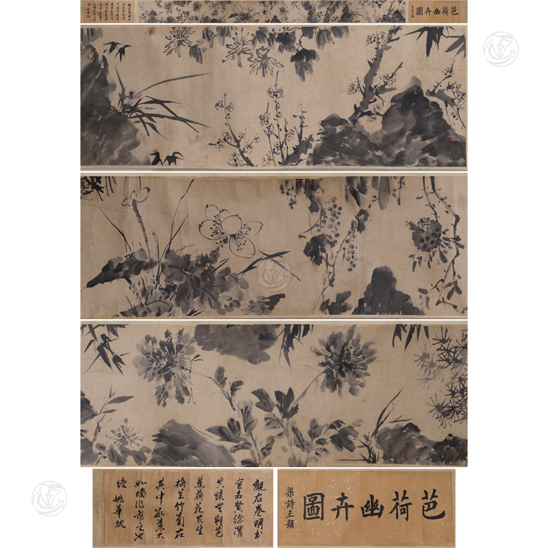 徐渭 花卉长卷
